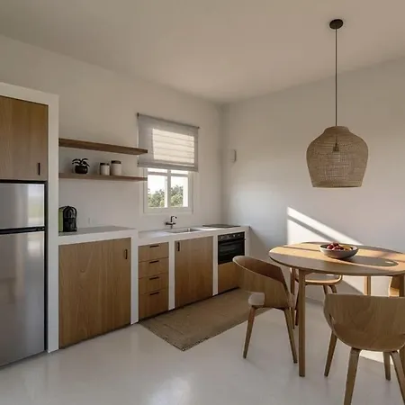 Walk To - 1br Sea View - Peppermint 2 Naousa (Paros)
